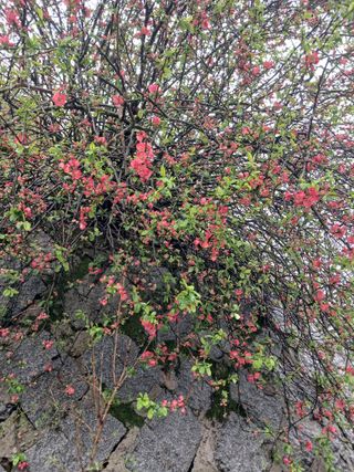 고성운님의 자유주제 · 자유게시판 작성글 사진