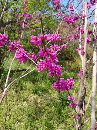 고성운님의 자유주제 · 자유게시판 작성글 사진