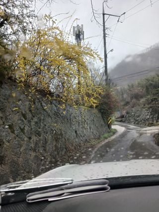 고성운님의 자유주제 · 자유게시판 작성글 사진