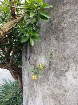 고성운님의 자유주제 · 자유게시판 작성글 사진