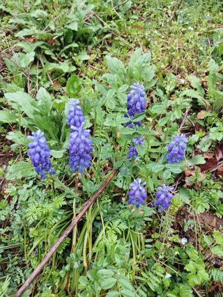 고성운님의 자유주제 · 자유게시판 작성글 사진