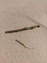 팜모닝 자유주제·자유게시판 게시글 이미지