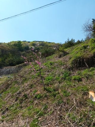 실로암농원님의 자유주제 · 자유게시판 작성글 사진