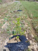 팜모닝 자유주제·자유게시판 게시글 이미지