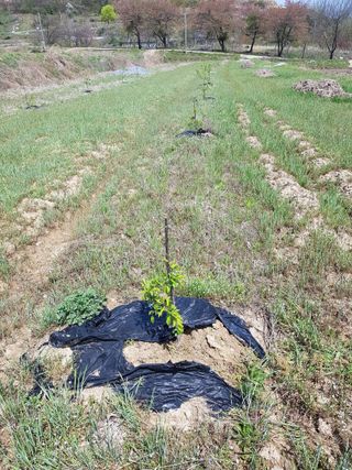 이병찬님의 자유주제 · 자유게시판 작성글 사진