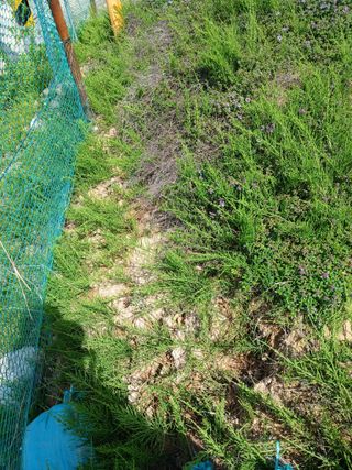 이영선긍증의힘으로님의 자유주제 · 자유게시판 작성글 사진