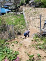 팜모닝 자유주제·자유게시판 게시글 이미지