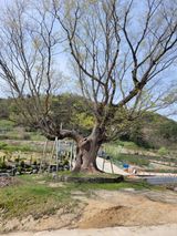 팜모닝 자유주제·자유게시판 게시글 이미지