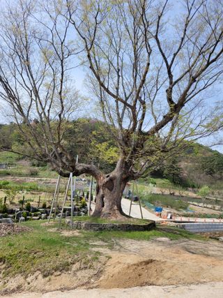최기인님의 자유주제 · 자유게시판 작성글 사진