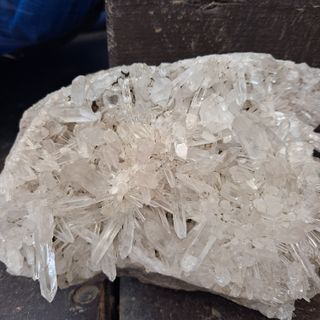 마늘16716님의 자유주제 · 자유게시판 작성글 사진