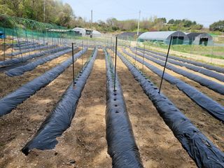 진용균님의 자유주제 · 자유게시판 작성글 사진