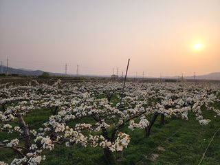 배꽃향기님의 모임 반장님 칭찬해요 · 참여글 작성글 사진