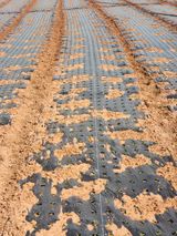 팜모닝 자유주제·자유게시판 게시글 이미지