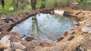 ogapiall님의 자유주제 · 자유게시판 작성글 사진