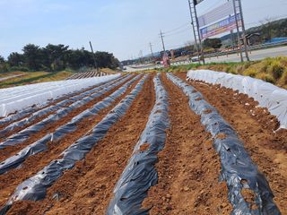 박태현님의 자유주제 · 자유게시판 작성글 사진