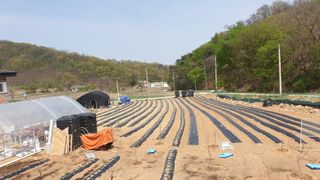 Yejak님의 자유주제 · 자유게시판 작성글 사진