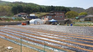 Yejak님의 자유주제 · 자유게시판 작성글 사진