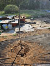 팜모닝 기타작물·영농일지 게시글 이미지