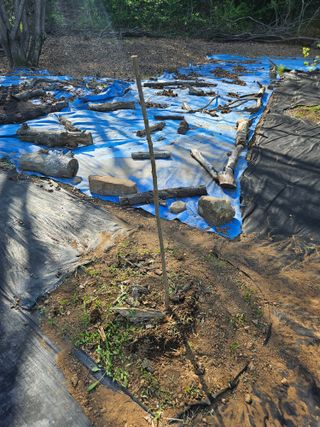 반도님의 기타작물 · 영농일지 작성글 사진