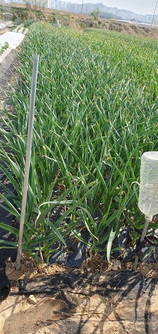 김익중님의 자유주제 · 자유게시판 작성글 사진