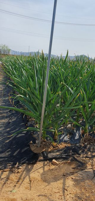 김익중님의 자유주제 · 자유게시판 작성글 사진