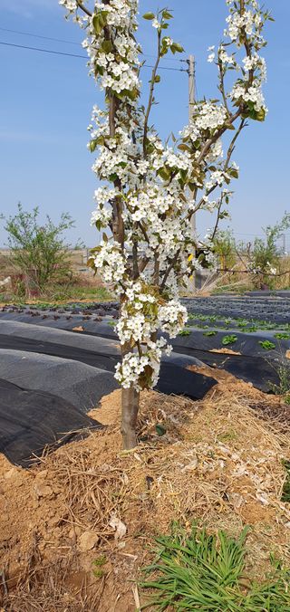 김익중님의 자유주제 · 자유게시판 작성글 사진