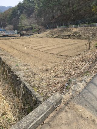 홍천 손춘목 님의 기타작물 · 영농일지 작성글 사진