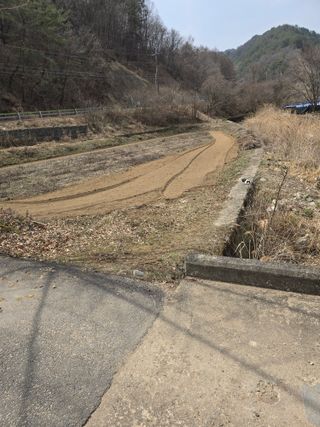 홍천 손춘목 님의 기타작물 · 영농일지 작성글 사진