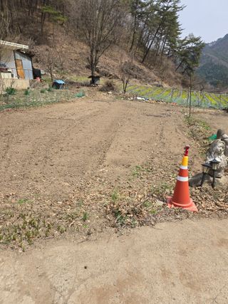 홍천 손춘목 님의 기타작물 · 영농일지 작성글 사진