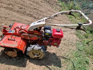 박세은님의 자유주제 · 자유게시판 작성글 사진