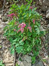 팜모닝 자유주제·자유게시판 게시글 이미지