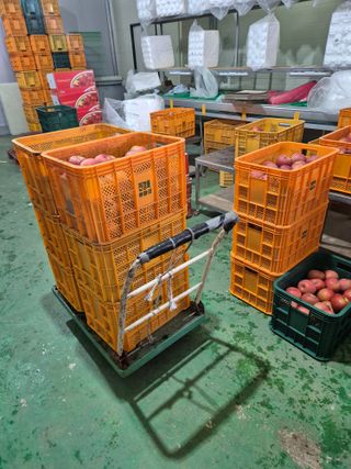 사과와곶감님의 자유주제 · 자유게시판 작성글 사진