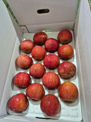 사과와곶감님의 자유주제 · 자유게시판 작성글 사진