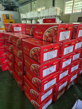 사과와곶감님의 자유주제 · 자유게시판 작성글 사진