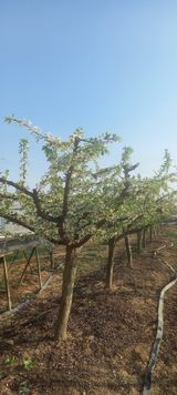 팜모닝 모임 반장님 칭찬해요·참여글 게시글 이미지