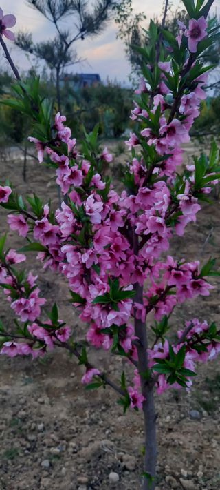 김우향님의 모임 반장님 칭찬해요 · 참여글 작성글 사진