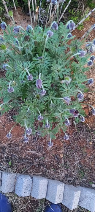 김우향님의 모임 반장님 칭찬해요 · 참여글 작성글 사진