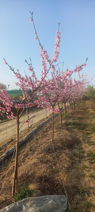 김우향님의 모임 반장님 칭찬해요 · 참여글 작성글 사진