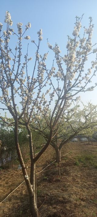 김우향님의 모임 반장님 칭찬해요 · 참여글 작성글 사진