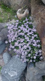 팜모닝 자유주제·자유게시판 게시글 이미지