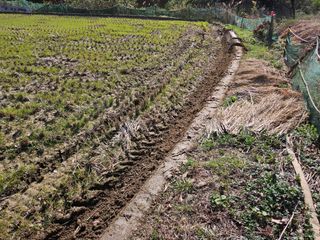 난목말라님의 자유주제 · 자유게시판 작성글 사진