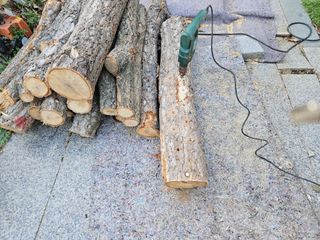 난목말라님의 자유주제 · 자유게시판 작성글 사진