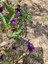 팜모닝 모임 반장님 칭찬해요·참여글 게시글 이미지