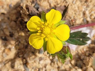 가야산아낙님의 모임 반장님 칭찬해요 · 참여글 작성글 사진