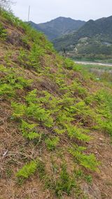 팜모닝 자유주제·자유게시판 게시글 이미지