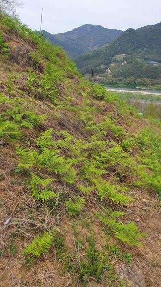 다온아띠농원 장현호님의 자유주제 · 자유게시판 작성글 사진
