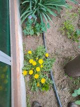 팜모닝 자유주제·사진전 게시글 이미지