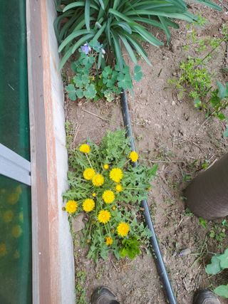 인생은나그네님의 자유주제 · 사진전 작성글 사진