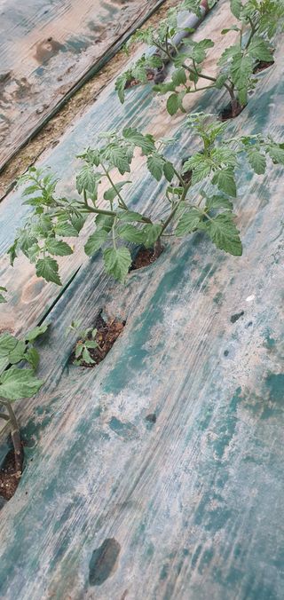 최창순님의 자유주제 · 자유게시판 작성글 사진