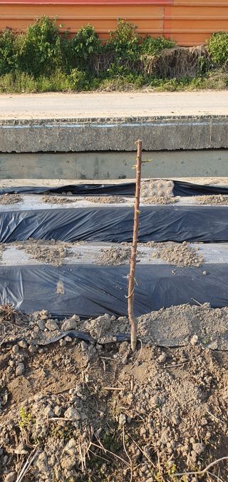 최창순님의 자유주제 · 자유게시판 작성글 사진